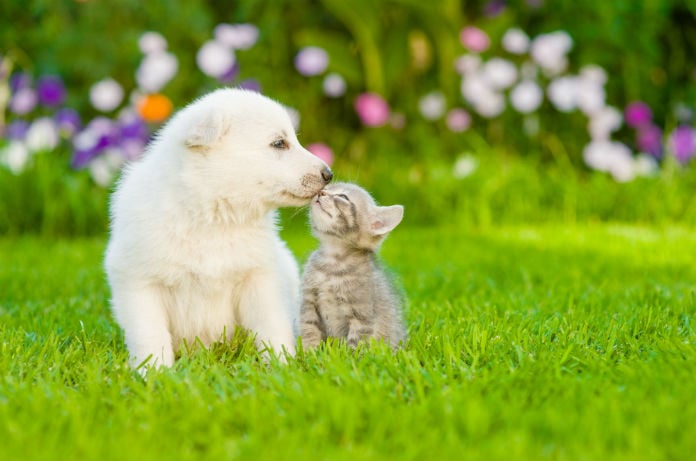 International Kissing Day 2019